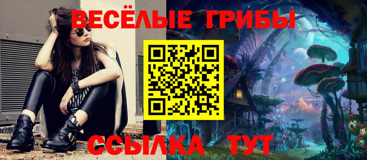 Псилоцибиновые грибы Cubensis Городец