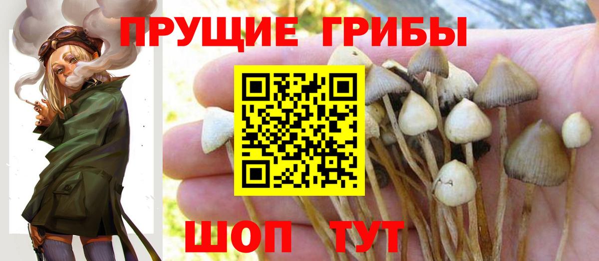 Городец  закладка  Вход с VPN  Галлюциногенные грибы Magic Shrooms  Псилоцибиновые грибы Psilocybe 