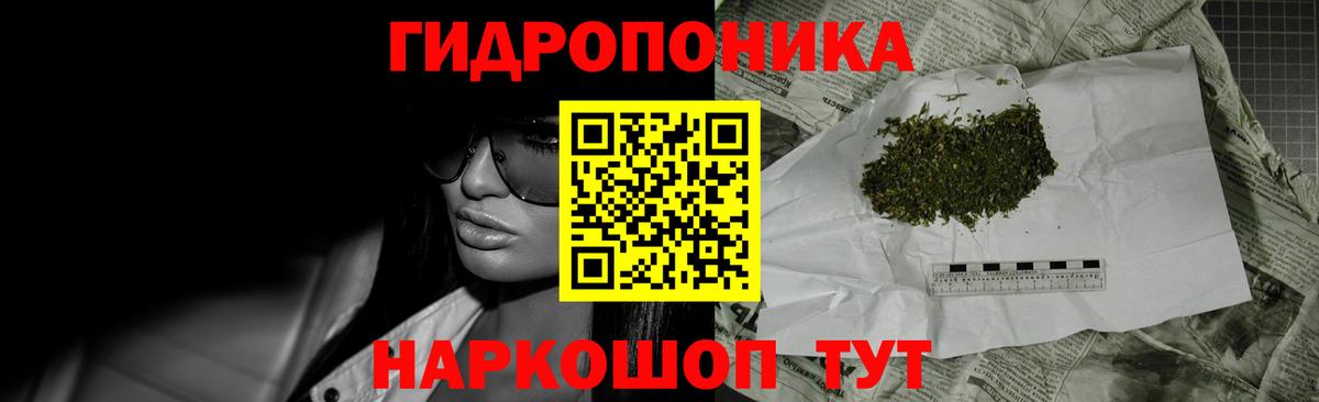 Бошки марихуана OG Kush  Конопля конопля  Вход с VPN  Каннабис AK-47  Городец  Бошки Шишки сатива 